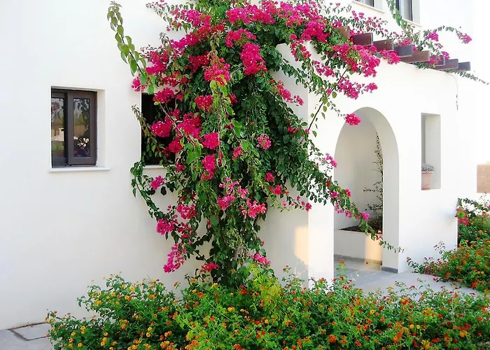 Aura Holiday Villas